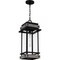 Quoizel Strader Outdoor Hanging 1 Light Matte Black SAD1909MBK - alternate 4